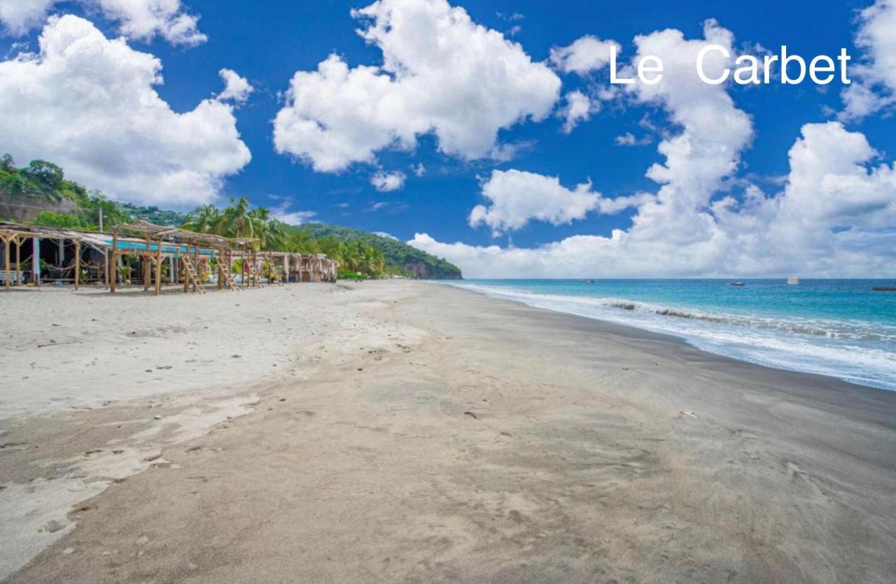 Lodge Pamplemousse Avec Piscine Privative , Dans Parc Calme A 500 M Plage Le Carbet Luaran gambar