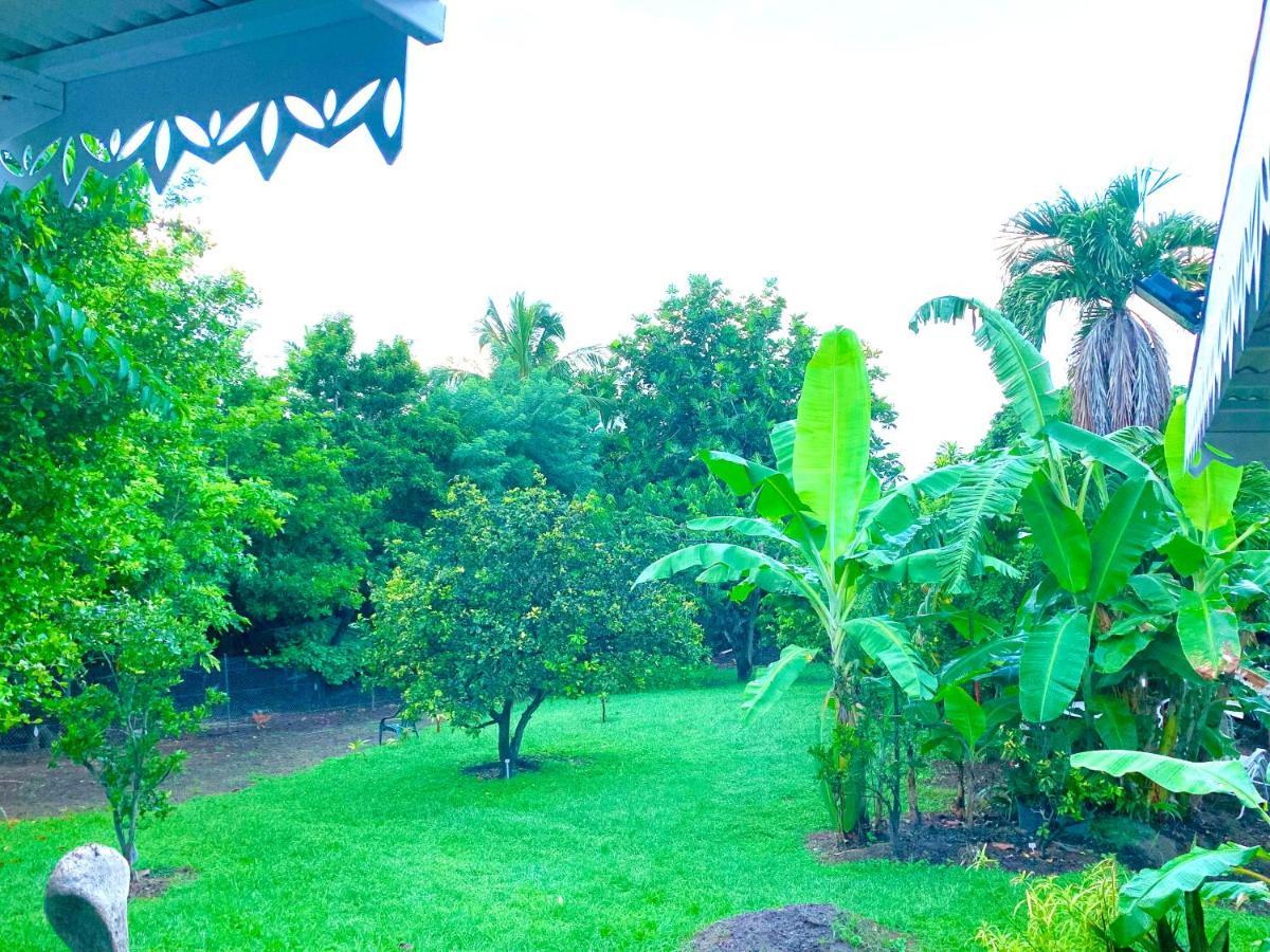 Lodge Pamplemousse Avec Piscine Privative , Dans Parc Calme A 500 M Plage Le Carbet Luaran gambar